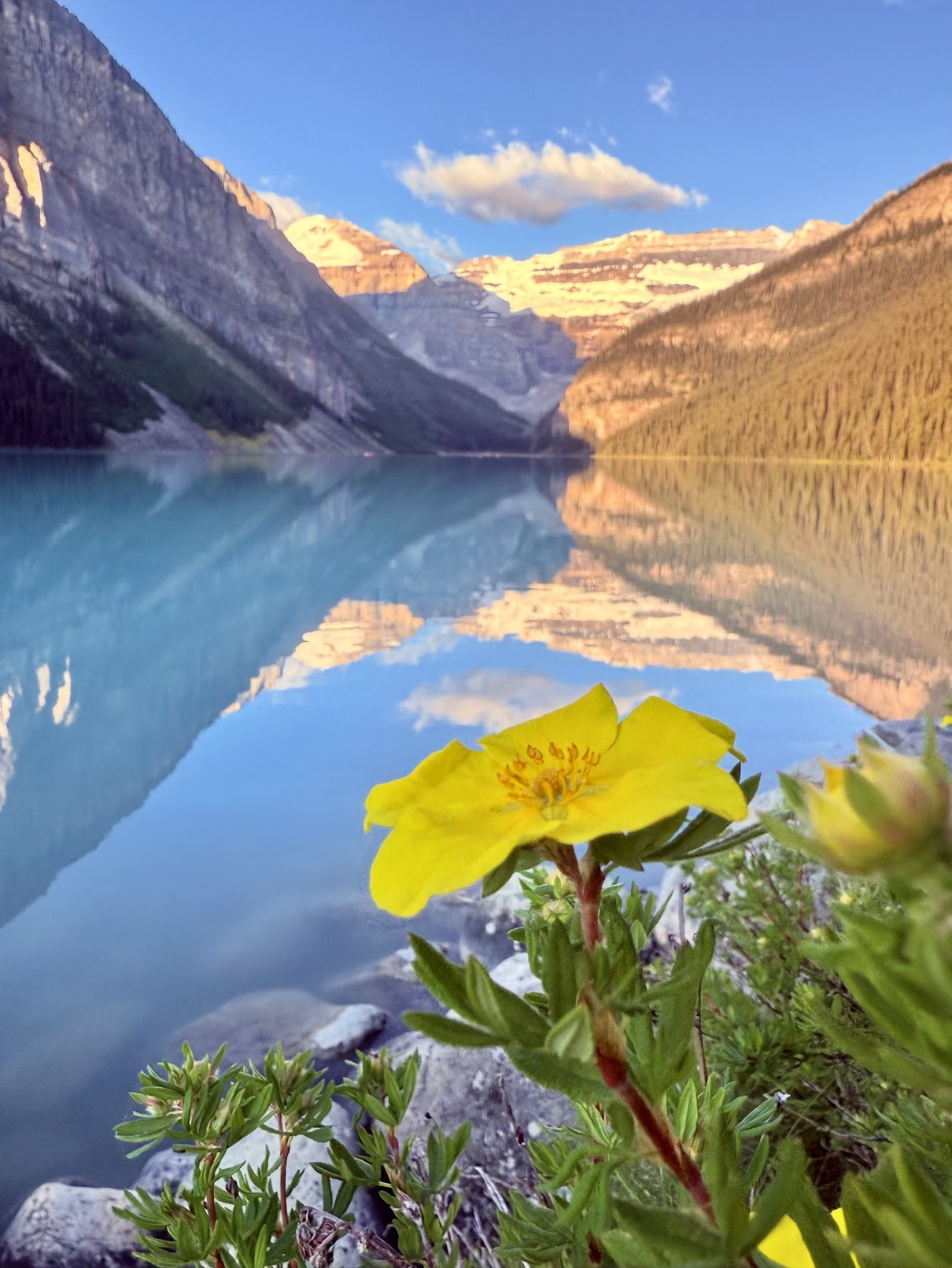 Banff – Lake Louise (Canadian Rockies 4/5)