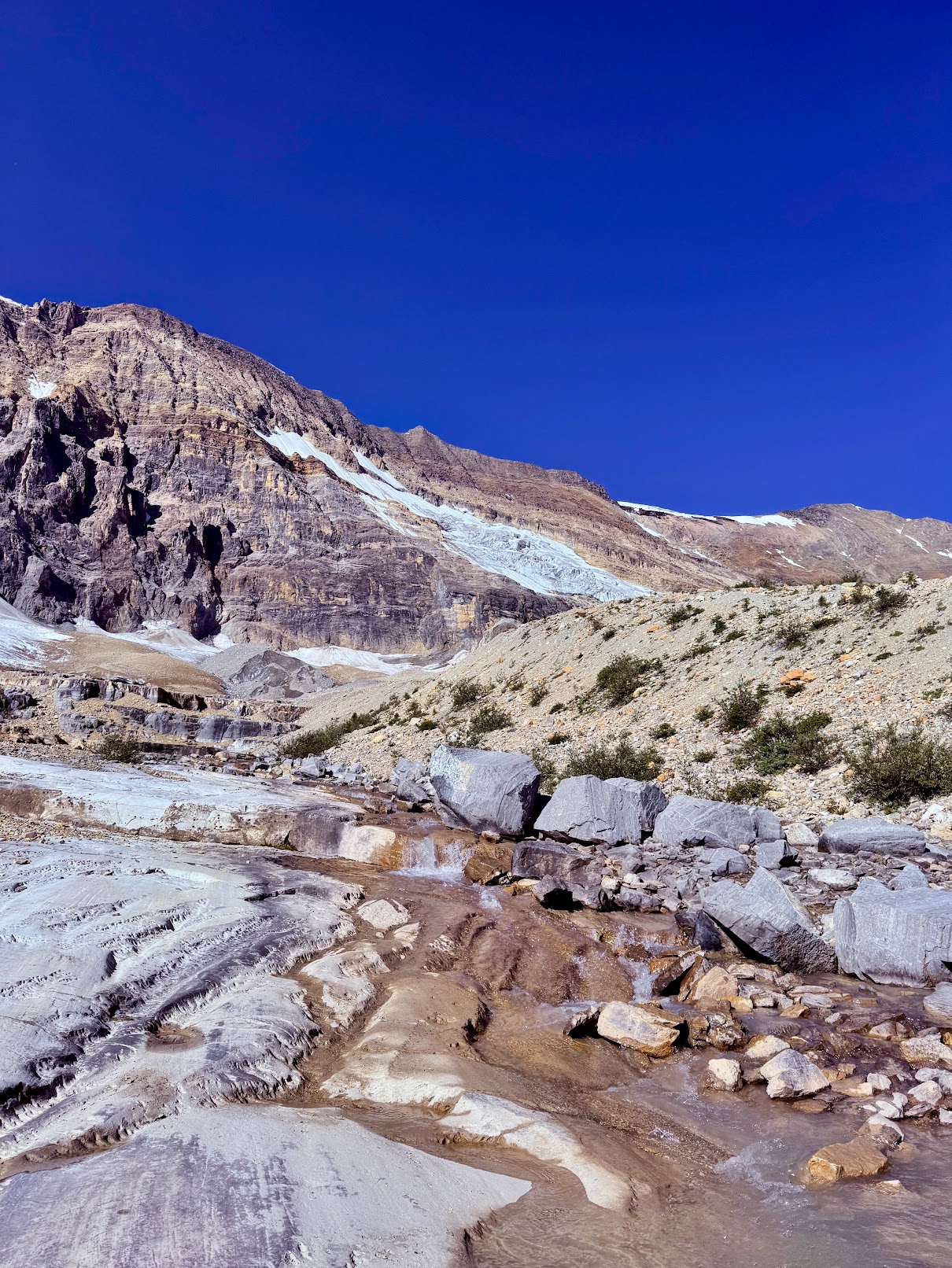 Yoho – Iceline Trail (Canadian Rockies 5/5)